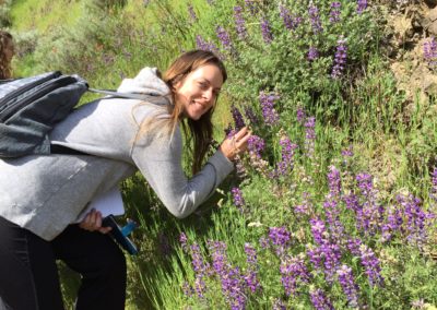 Go Wild Institute - Botany for Herbalists