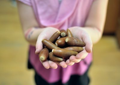 Acorns: The Original California Cuisine