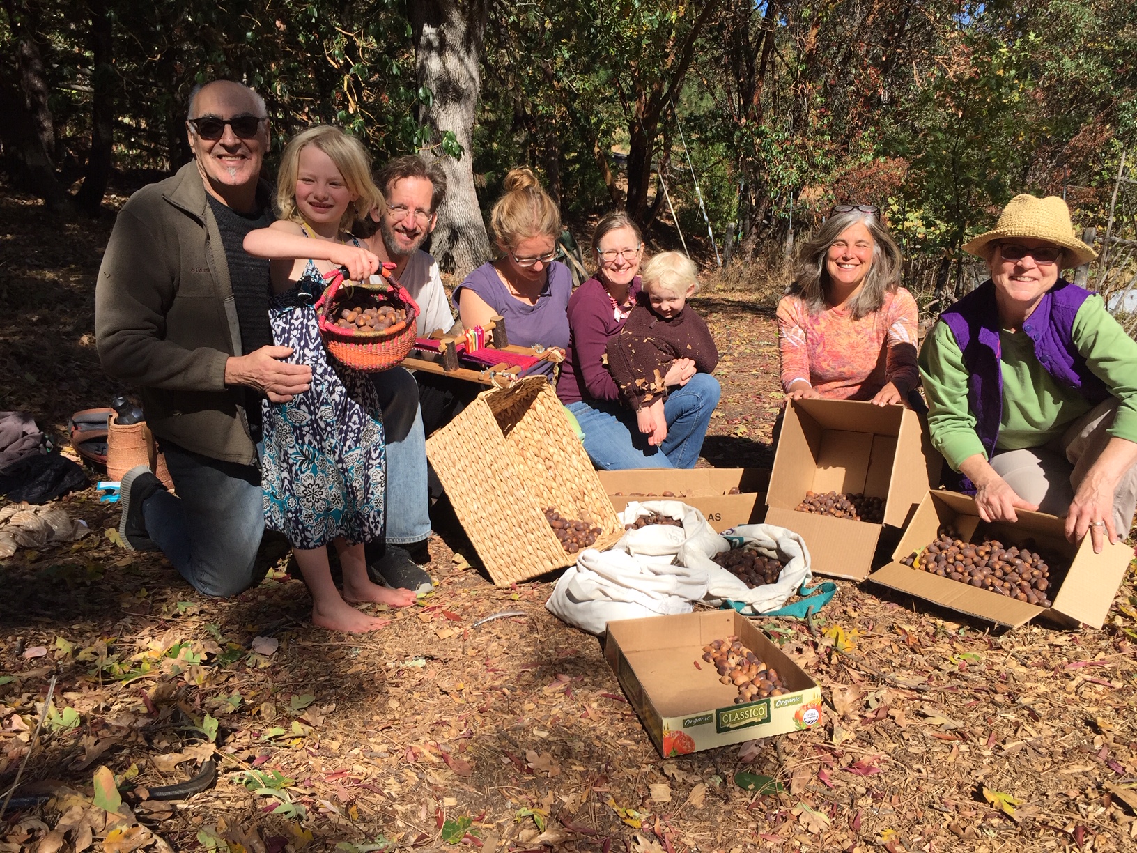 Gathering Acorns - A Community Event