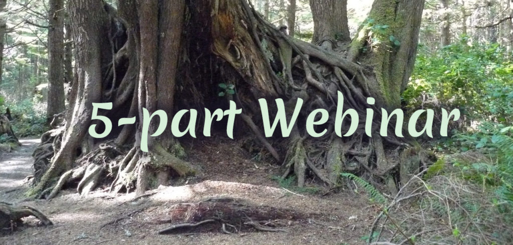 Roots of Resilience - 5 part webinar